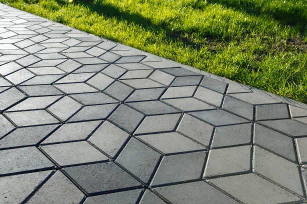 Best Professional Driveway Pavers  in Waite Park, MN