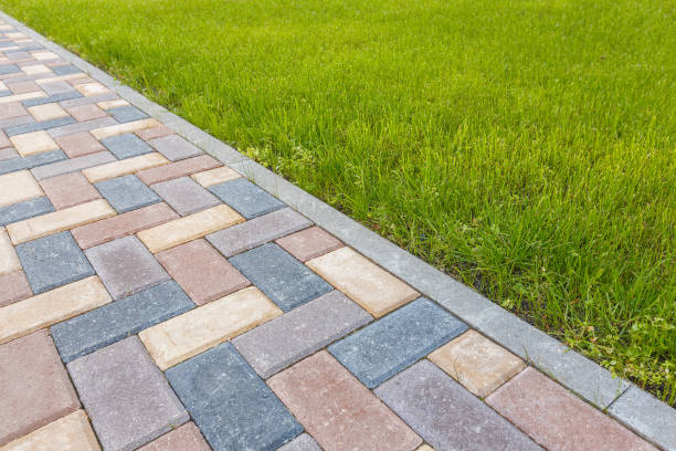 Best Decorative Driveway Pavers  in Waite Park, MN